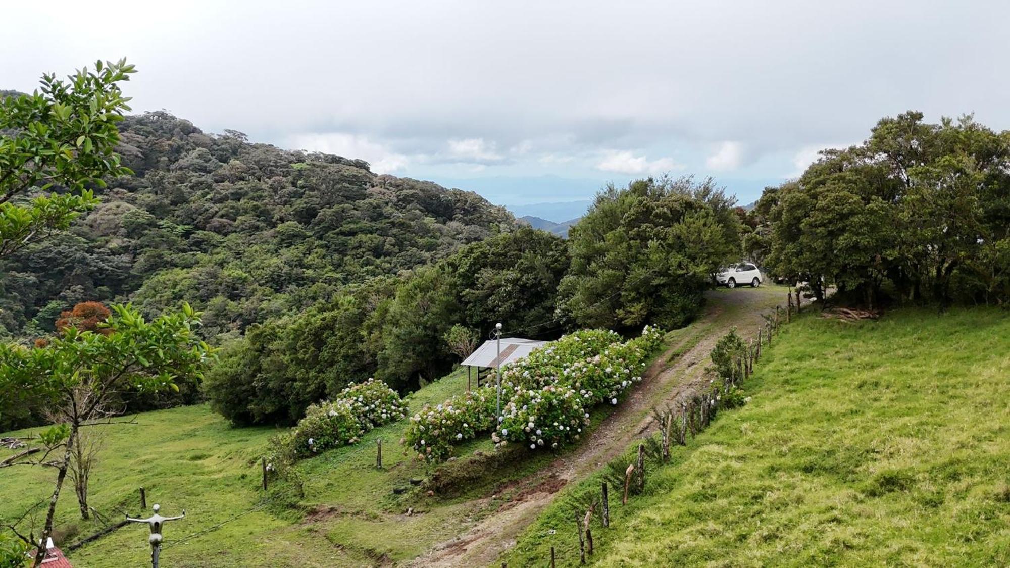 Dadirri House Minicasa Santa Elena Monteverde ภายนอก รูปภาพ