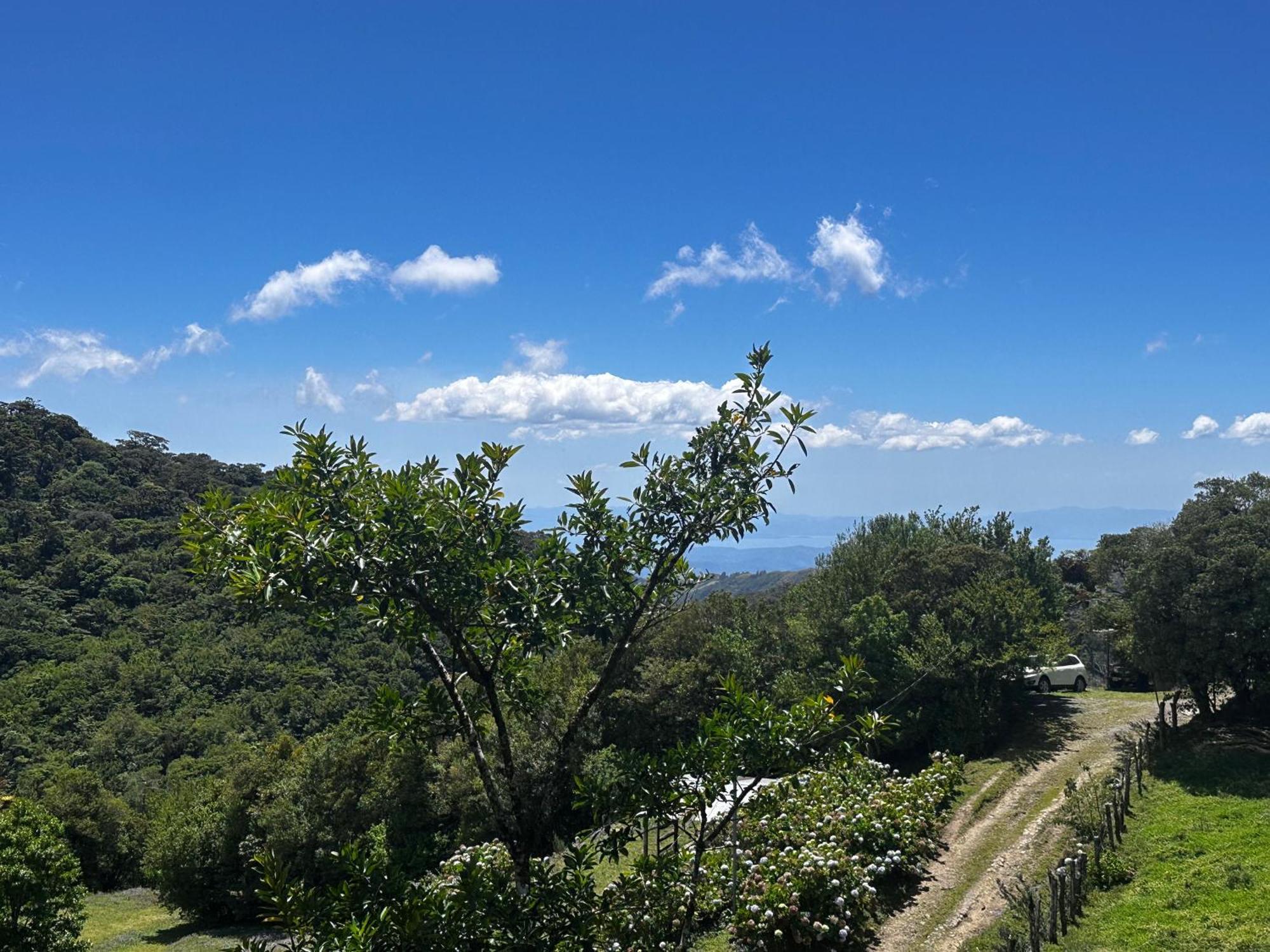 Dadirri House Minicasa Santa Elena Monteverde ภายนอก รูปภาพ